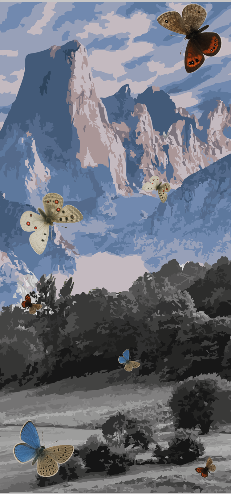 ¿Por qué ya no vemos tantas mariposas en Cantabria?